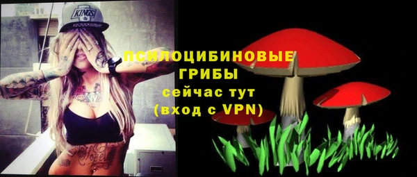 шишки Баксан