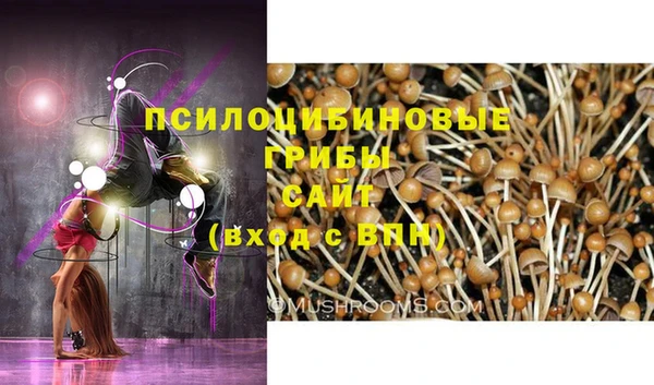 шишки Баксан