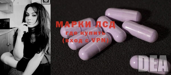 шишки Баксан