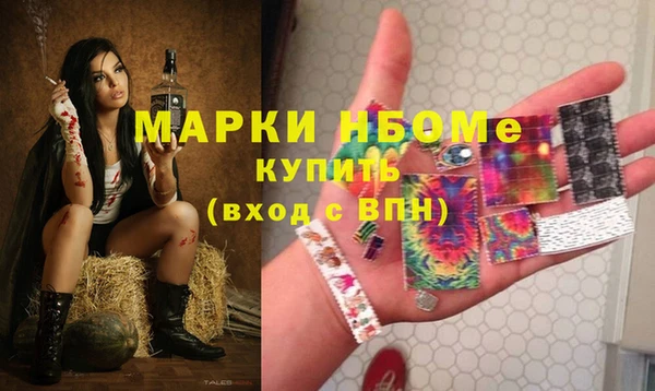 шишки Баксан