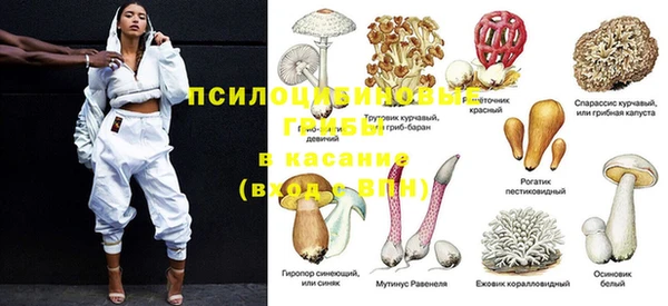 шишки Баксан