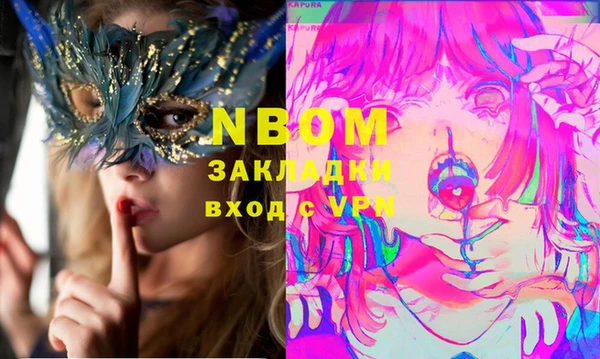 шишки Баксан